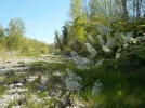 DSCN5078.webp