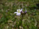 P1050630.webp