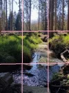 Bach im Wald.webp