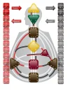 Human Design WildSau.webp