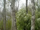 DSCN5055.JPG