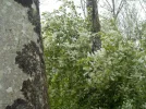 DSCN5056.JPG
