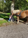 IMG-20211001-WA0001.webp