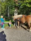 IMG-20211001-WA0000.webp
