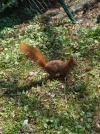 20190415_142401.webp
