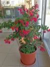 IMG_20220429_123100 (2).webp