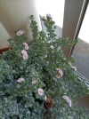 IMG_20220429_123127.webp