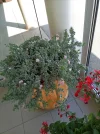 IMG_20220429_123117 (2).webp