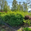 20220429_101957.webp
