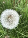 1651330914188.webp