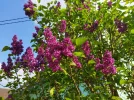 IMG_20220501_175406.webp