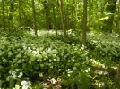 DSCN5127.webp
