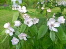 IMG_20220503_173653 (2).webp