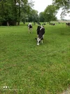 IMG-20210609-WA0002.webp