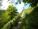 DSCN5132.JPG