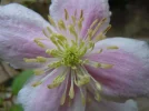 DSCN0299.webp