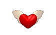 ! a11a.gif