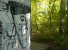 DSCN5125.JPG