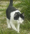 DSCN5154.webp