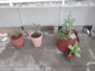 IMG_20220508_164027.webp