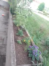 IMG_20220508_164101.webp