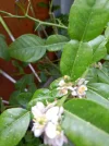 IMG_20220509_121531.webp