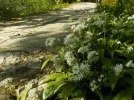 DSCN5166.webp
