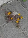 20220512_124721.webp