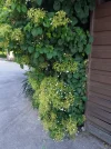 20220515_093748.webp