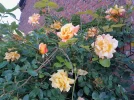 20220515_093714.webp