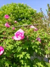 IMG_20220515_162752.webp