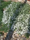 IMG_20220515_162945 (2).webp