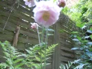 1652645996813.webp