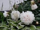20220516_085259.webp