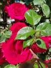 20220522_150602.webp