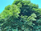 20220522_151836.webp
