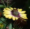 IMG_20220522_094221.webp