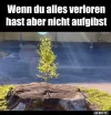 !A alles verloren.webp
