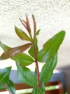IMG_20220527_125803 (2).webp