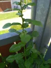 IMG_20220527_125746.webp