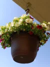 IMG_20220527_155254 (2).webp