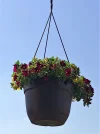 IMG_20220527_155324 (2).webp