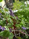 IMG_20220527_155337.webp
