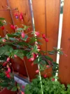 IMG_20220527_163755.webp