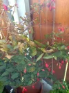 IMG_20220527_163745.webp