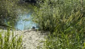 DSCN5200 (2).webp