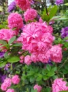 IMG_20220526_155609.jpg