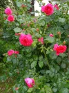 IMG_20220528_144340 (2).webp