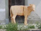 DSCN3185.webp