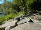 DSCN5206.webp
